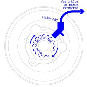 b_abs_sensor-situ_rgb_600_fr.png