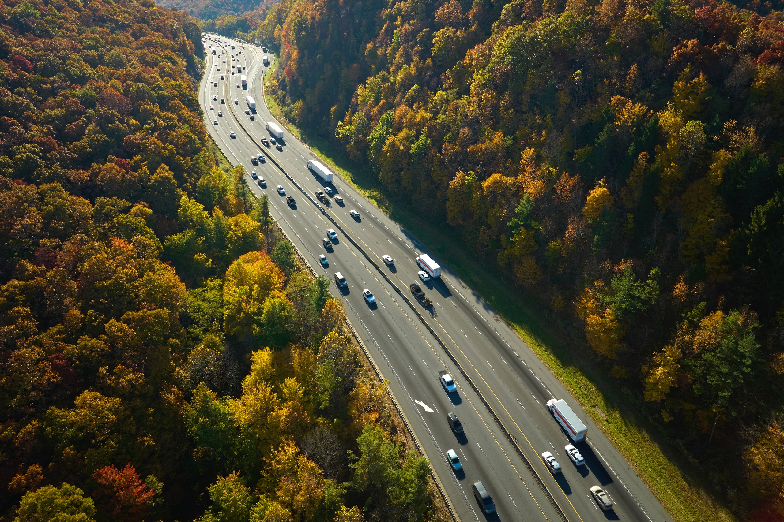 Light Vehicles