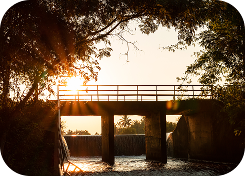 AdobeStock_195459897 7